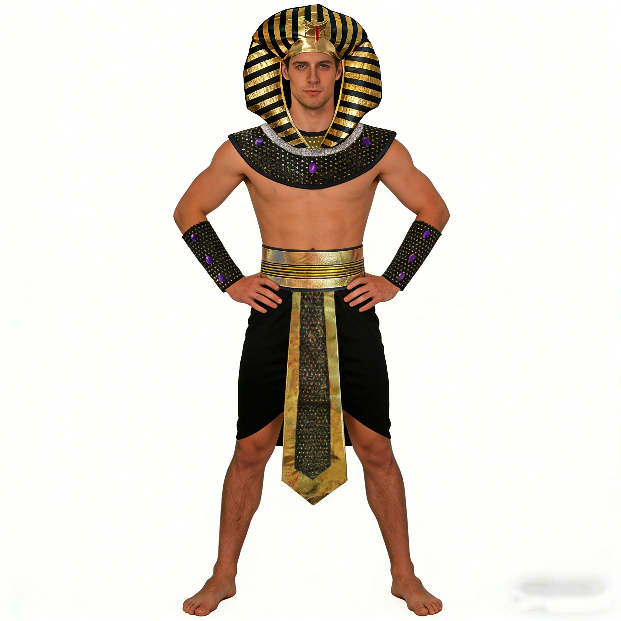 Carnival Men Costume Egyptian  - огляд і ціна Men Accessories Egypt