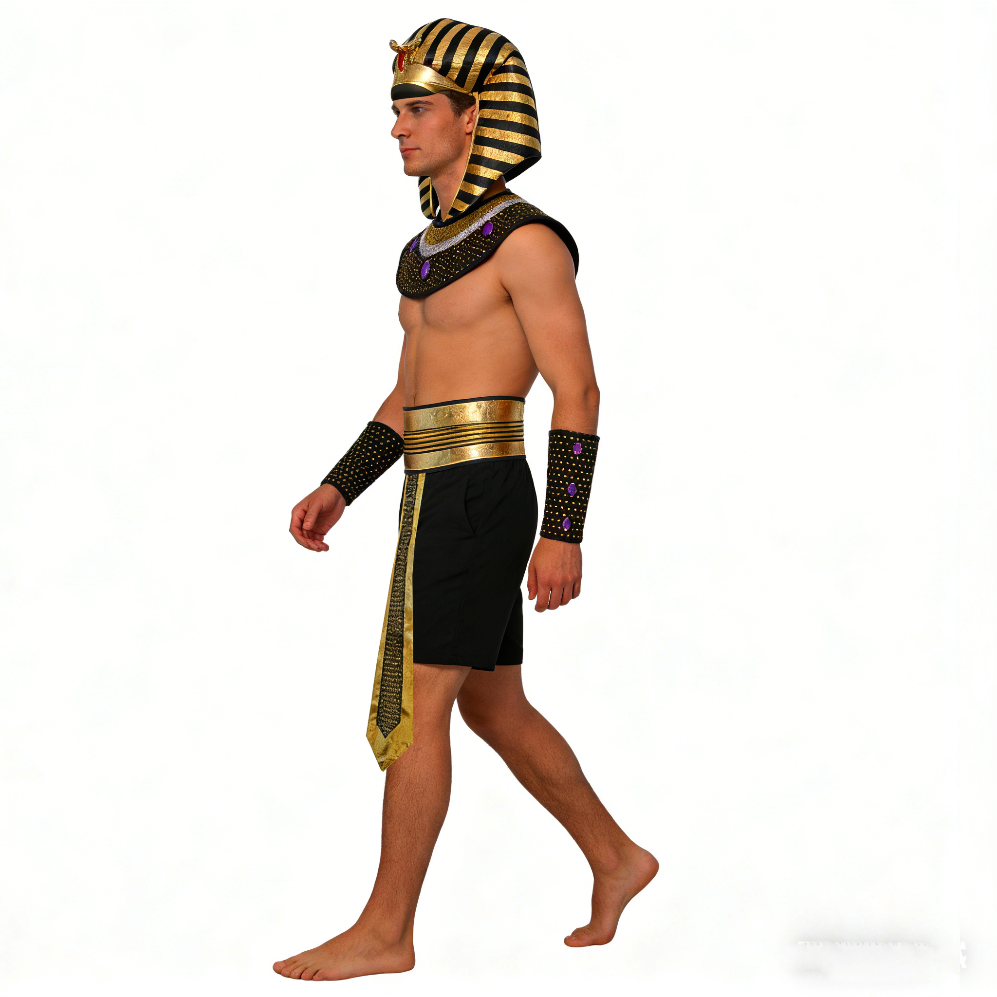 Carnival Men Costume Egyptian  - огляд і ціна Men Accessories Egypt