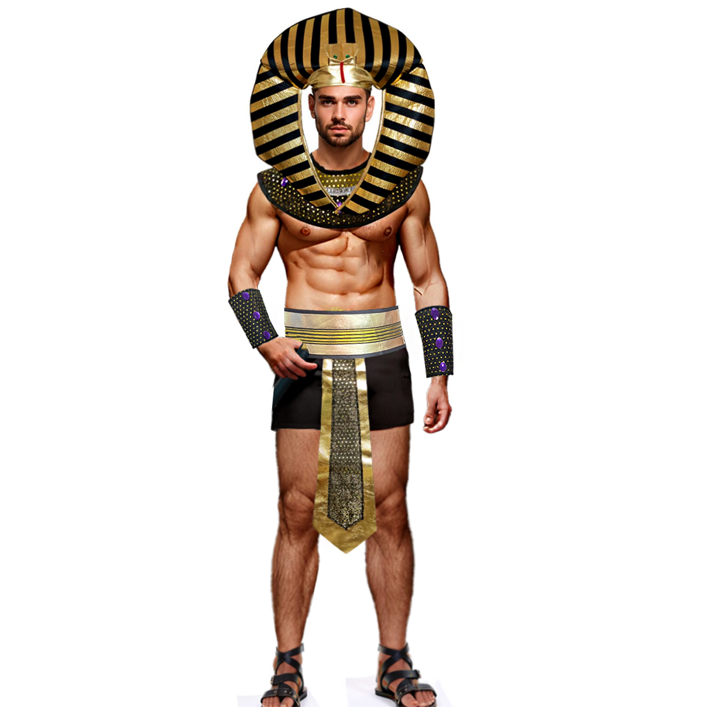 Carnival Men Costume Egyptian  - огляд і ціна Men Accessories Egypt